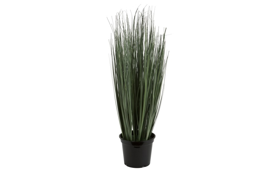 Roślina doniczkowa trawa 70 cm