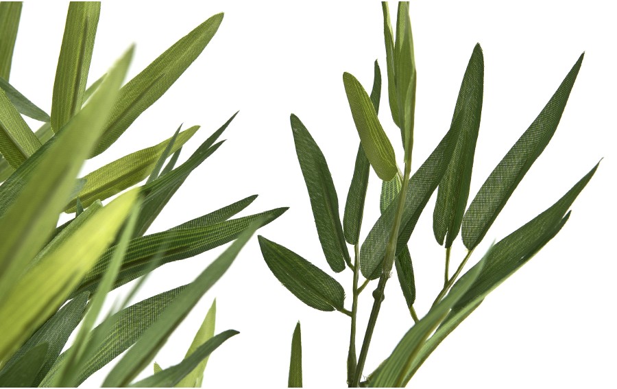 Kwiat doniczkowy Oleander 123 cm