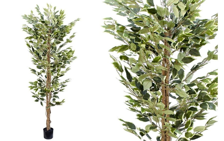 Sztuczny fikus biało-zielony 210 cm Rojek Decor