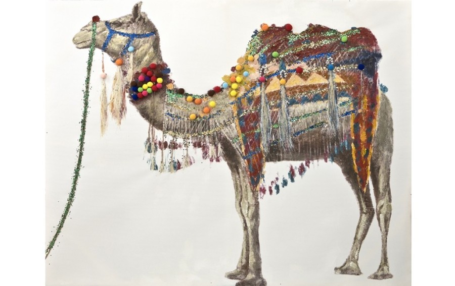 Obraz 150x120cm Wielbłąd Baktrian