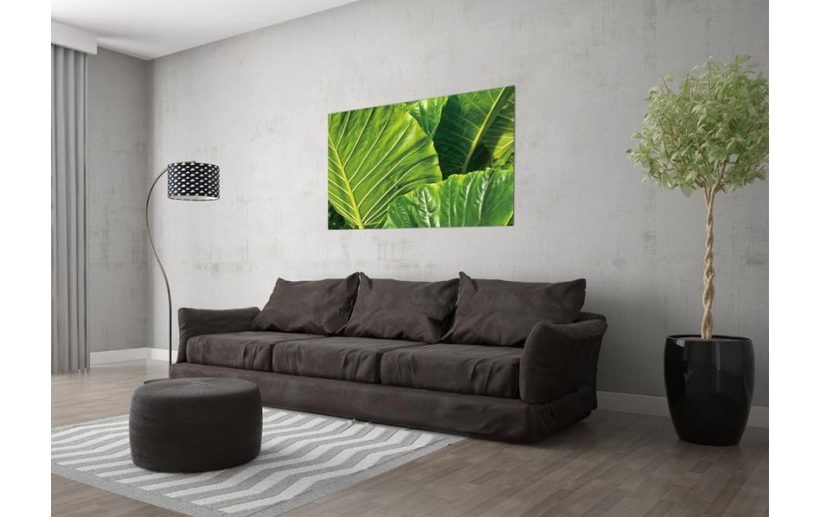 Obraz szklany 120x80 Duże liście