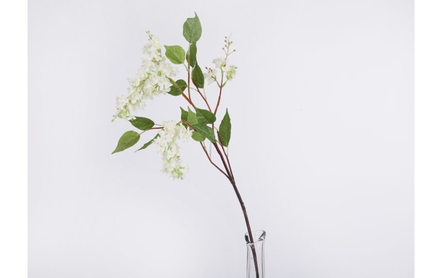 Bez biały 90cm