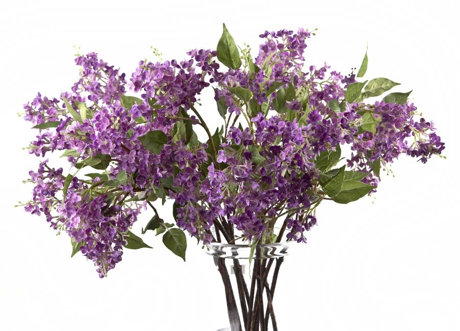 Bez ciemno różowy 90cm
