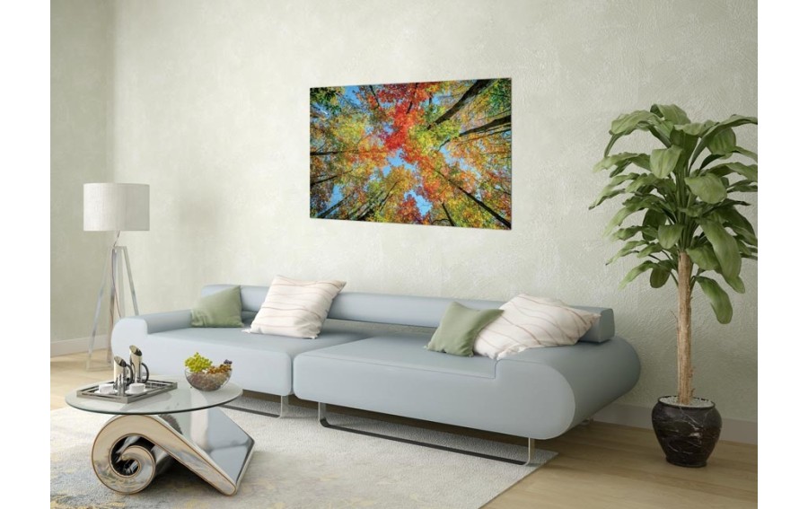 Obraz szklany 120x80 Drzewa