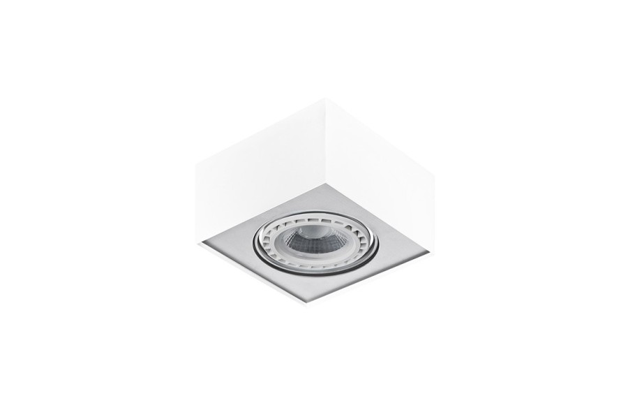 Plafon Paulo 1 White FH30531S
